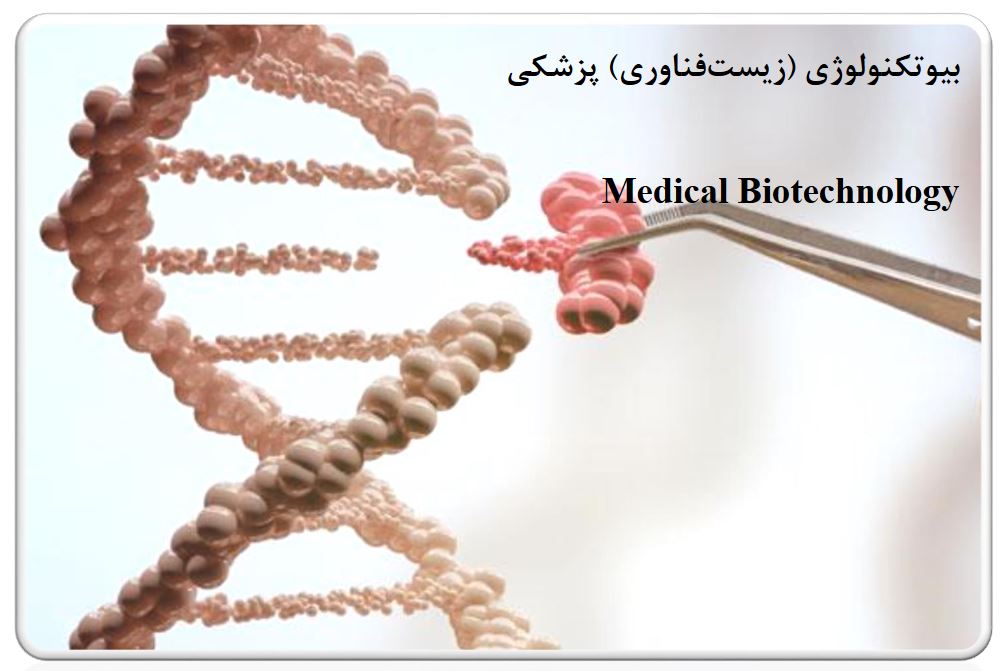 بیوتکنولوژی (زیست فناوری) پزشکی