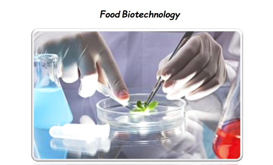 بیوتکنولوژی (زیست فناوری) غذایی